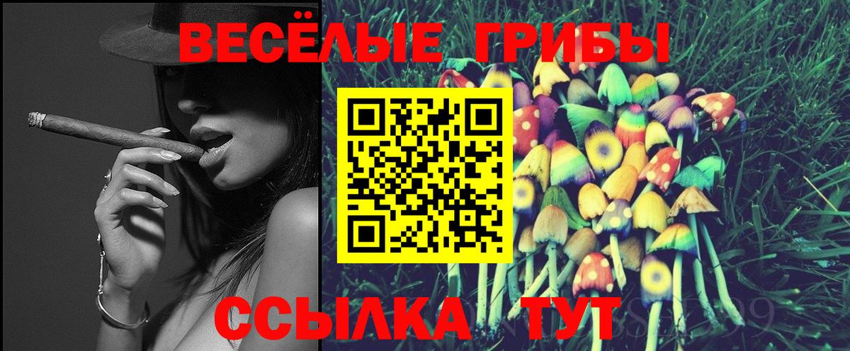 купить закладку  Галлюциногенные грибы Psilocybe  Вход с VPN  Уссурийск 